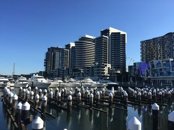 Apartments Melbourne Domain - Docklands - Accommodation Tasmania 4