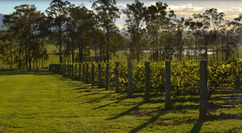 H Boutique Hotel - Accommodation Tasmania 34