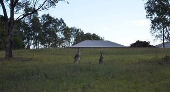 H Boutique Hotel - Accommodation Tasmania 40