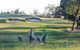 Riverside Oaks Golf Resort - thumb 1