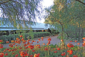 Casuarina Estate - Accommodation Tasmania 49