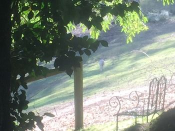 Brentwood Accommodation - Accommodation Tasmania 35