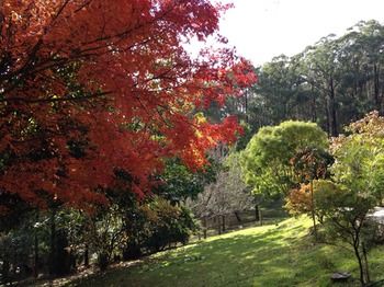 Brentwood Accommodation - Accommodation Tasmania 43