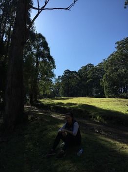 Brentwood Accommodation - Accommodation Tasmania 58