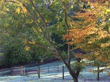 Brentwood Accommodation - Accommodation Tasmania 64