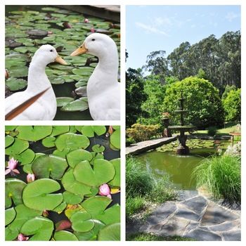 Brentwood Accommodation - Accommodation Tasmania 65