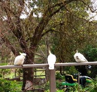 Australian Home Away  Wonga Park Brushy Creek - Accommodation Tasmania