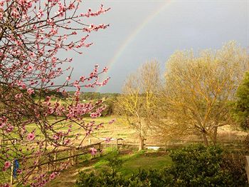 Australian Home Away @ Wonga Park Brushy Creek - Accommodation Tasmania 9