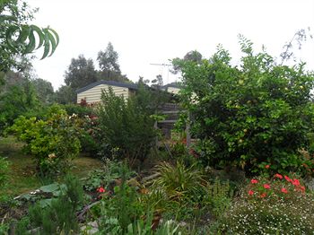 Australian Home Away @ Wonga Park Brushy Creek - Accommodation Tasmania 14