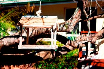 Comfort Inn Redleaf Resort - Accommodation Tasmania 5
