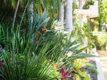 Mirra Chana - Accommodation Tasmania 11