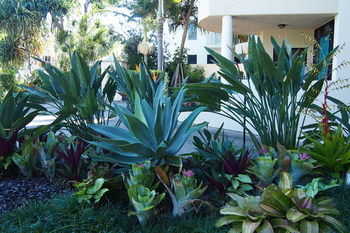 Mirra Chana - Accommodation Tasmania 12