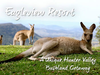 Eagleview Resort - Accommodation Tasmania 45