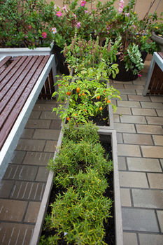 Eva's Backpackers - Accommodation Tasmania 39