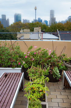 Eva's Backpackers - Accommodation Tasmania 40