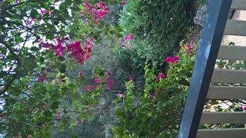 Linley House Bed & Breakfast - Accommodation Tasmania 30