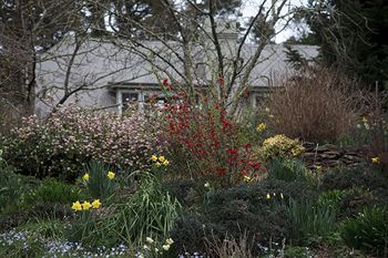 Parklands Country Gardens And Lodges - Accommodation Tasmania 12
