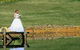 Parklands Country Gardens And Lodges - thumb 21