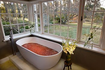 Parklands Country Gardens And Lodges - Accommodation Tasmania 27