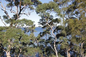 The Edgewater Bed & Breakfast - Accommodation Tasmania 0
