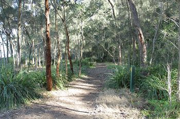 The Edgewater Bed & Breakfast - Accommodation Tasmania 22