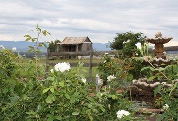 Strathearn Park Lodge - Accommodation Tasmania 16