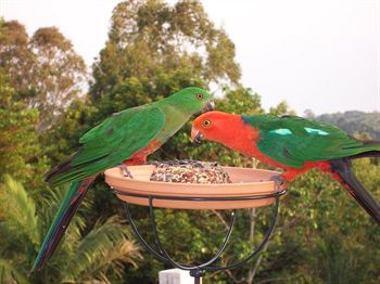 The Falls Montville - Accommodation Tasmania 4