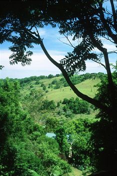 The Falls Montville - Accommodation Tasmania 5