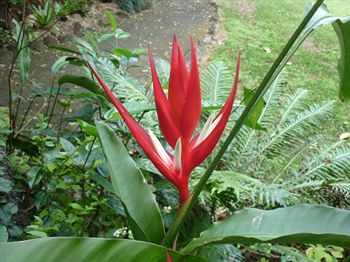 The Falls Montville - Accommodation Tasmania 10