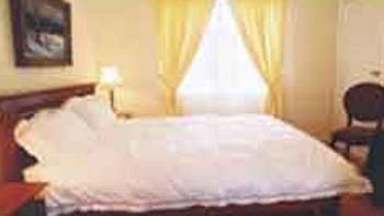 Bluebell Bed & Breakfast - Accommodation Tasmania 5