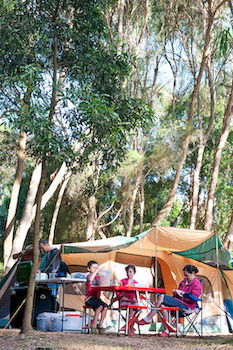 BIG4 Yarra Valley Holiday Park - Accommodation Tasmania 8