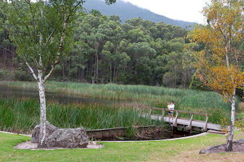 BIG4 Yarra Valley Holiday Park - Accommodation Tasmania 12