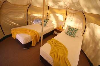 BIG4 Yarra Valley Holiday Park - Accommodation Tasmania 35
