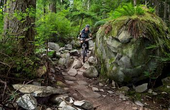 Mountain Element Retreats - Accommodation Tasmania 9