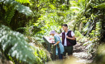 Mountain Element Retreats - Accommodation Tasmania 10