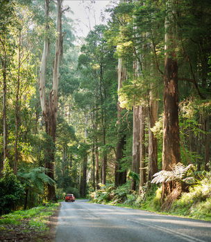 Mountain Element Retreats - Accommodation Tasmania 15