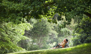 Mountain Element Retreats - Accommodation Tasmania 16