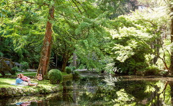 Mountain Element Retreats - Accommodation Tasmania 17