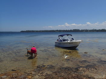 Dungowan Waterfront Apartments - Accommodation Tasmania 39