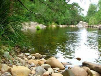 Riverwood Downs Mountain Valley Resort - Accommodation Tasmania 9