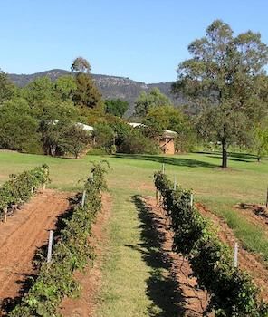 Forrest Hills Ridge - Accommodation Tasmania 2
