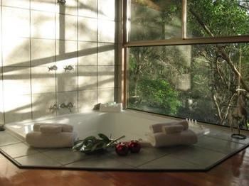 Belle's At Montville - Accommodation Tasmania 13