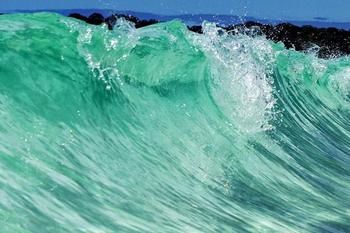 Bella Villas Of Jervis Bay - Accommodation Tasmania 10