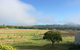 Eumundi Gridley Homestead B&B - thumb 6