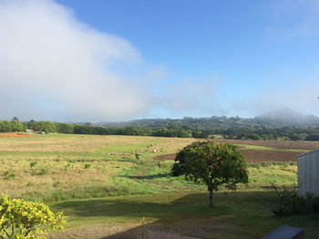 Eumundi Gridley Homestead B&B - Accommodation Tasmania 6