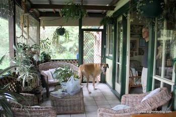 Hamilton Heritage B&B - Accommodation Tasmania 2