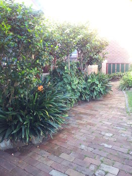 Hamilton Heritage B&B - Accommodation Tasmania 14