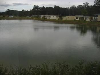 Australian Motor Homes Tourist Park - Accommodation Tasmania 3