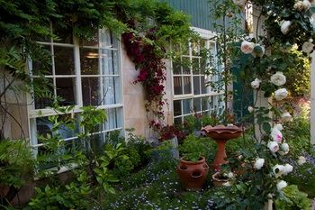 Holly Lane Mews - Accommodation Tasmania 46