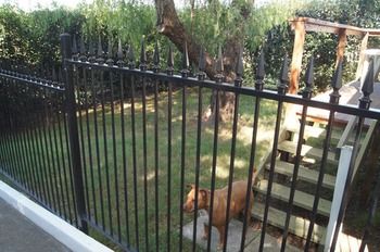 Old Maitland Inn - Accommodation Tasmania 51